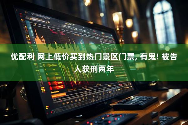 优配利 网上低价买到热门景区门票, 有鬼! 被告人获刑两年